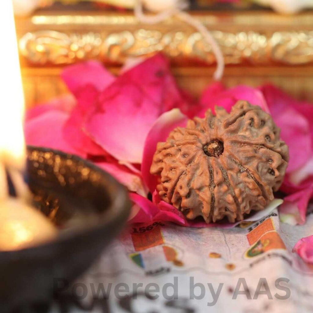 रुद्राक्ष का महत्व (Importance Of Rudraksha)